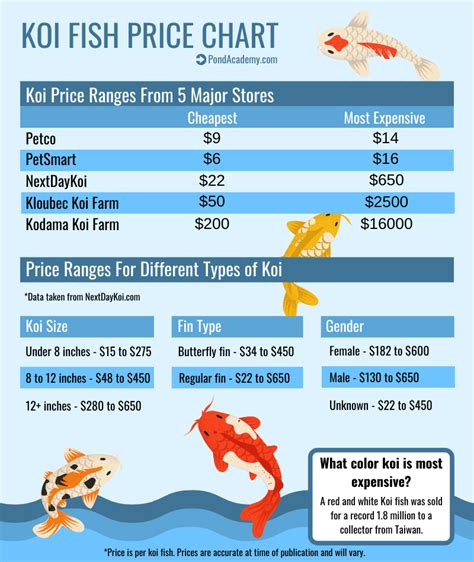 goblin fish price philippines|Goblin fish price in philippines .